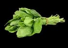 Palak