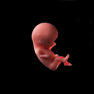 Baby at 12 weeks