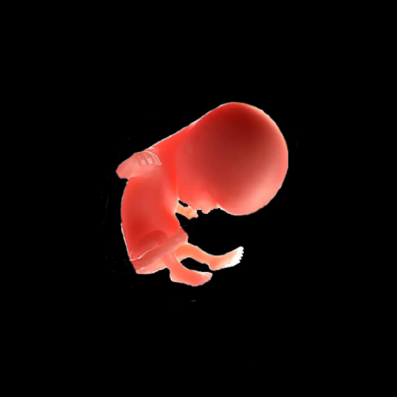 Baby at 14 weeks