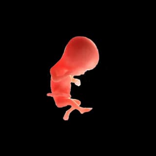 Baby at 15 weeks