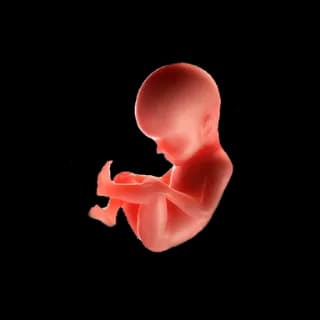 Baby at 27 weeks