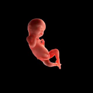 Baby at 31 weeks