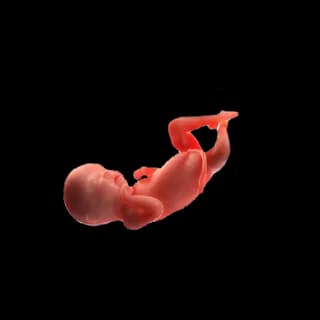 Baby at 32 weeks