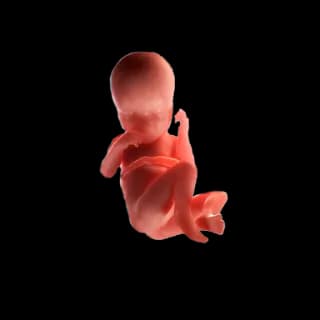 Baby at 37 weeks