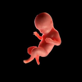 Baby at 41 weeks