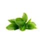 Vitamin C Face Moisturizer (100gm) Mattifying | Nourishes the skin | Non-greasy | Brightens Complexion | Fights Free Radical Damage  WHAT'S IN IT?