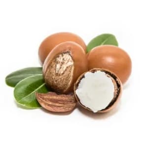 Vitamin C Body Lotion | Provides Deep Moisturization | Evens Out Skin Tone | Nourishes & Soothes Irritated Skin - 275 ml  WHAT'S IN IT?