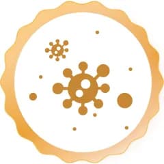 Allergy Free Certified 