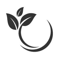 Eco-Friendly 