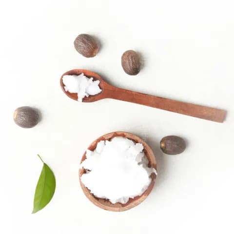 Shea Butter: Moisturizes & Conditions 
