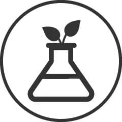 No SLS & Phthalates  