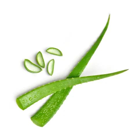 organic aloe vera gel