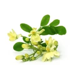ingredient 3