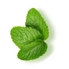 Ingredient 1