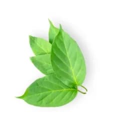 ingredient 2