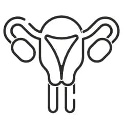 It improves reproductive health