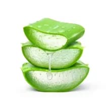 Aloe vera gel for nourishes skin