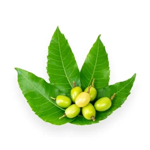 ingredient 2