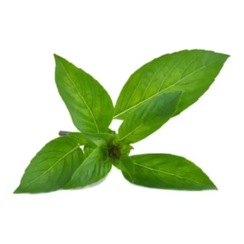 ingredient 3
