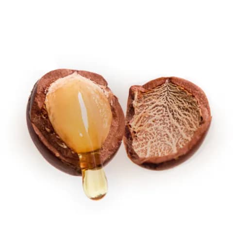 Argan Oil