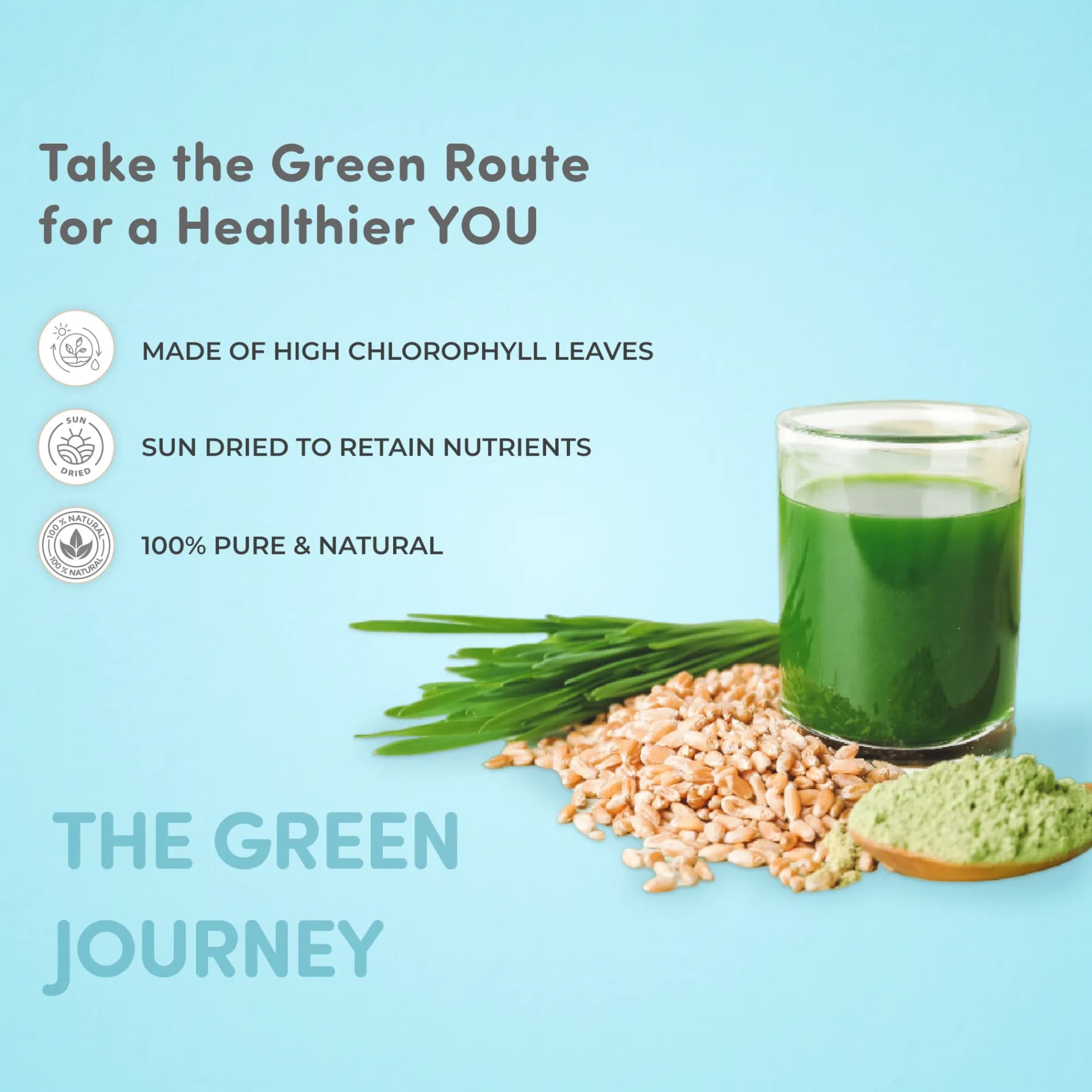 Wheatgrass Powder | 100% Natural Ingredients | Aids Healthy Digestion | Boosts Metabolism | Clinically Tested - (100gm)