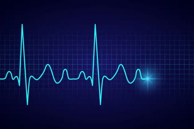 What is the need for electronic fetal heart monitoring during pregnancy, labor, and delivery? 