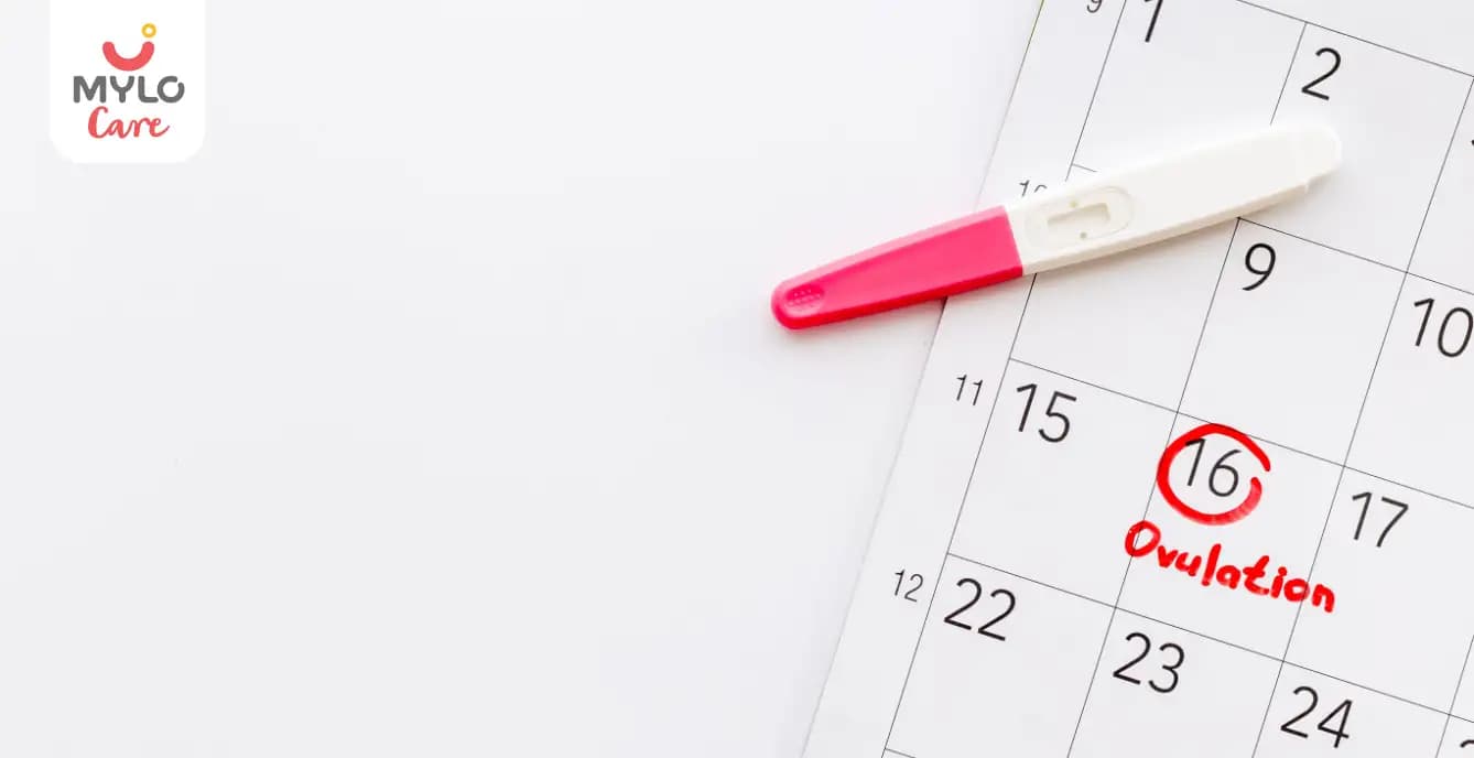 How to Improve Ovulation Naturally Practical Tips & Tricks