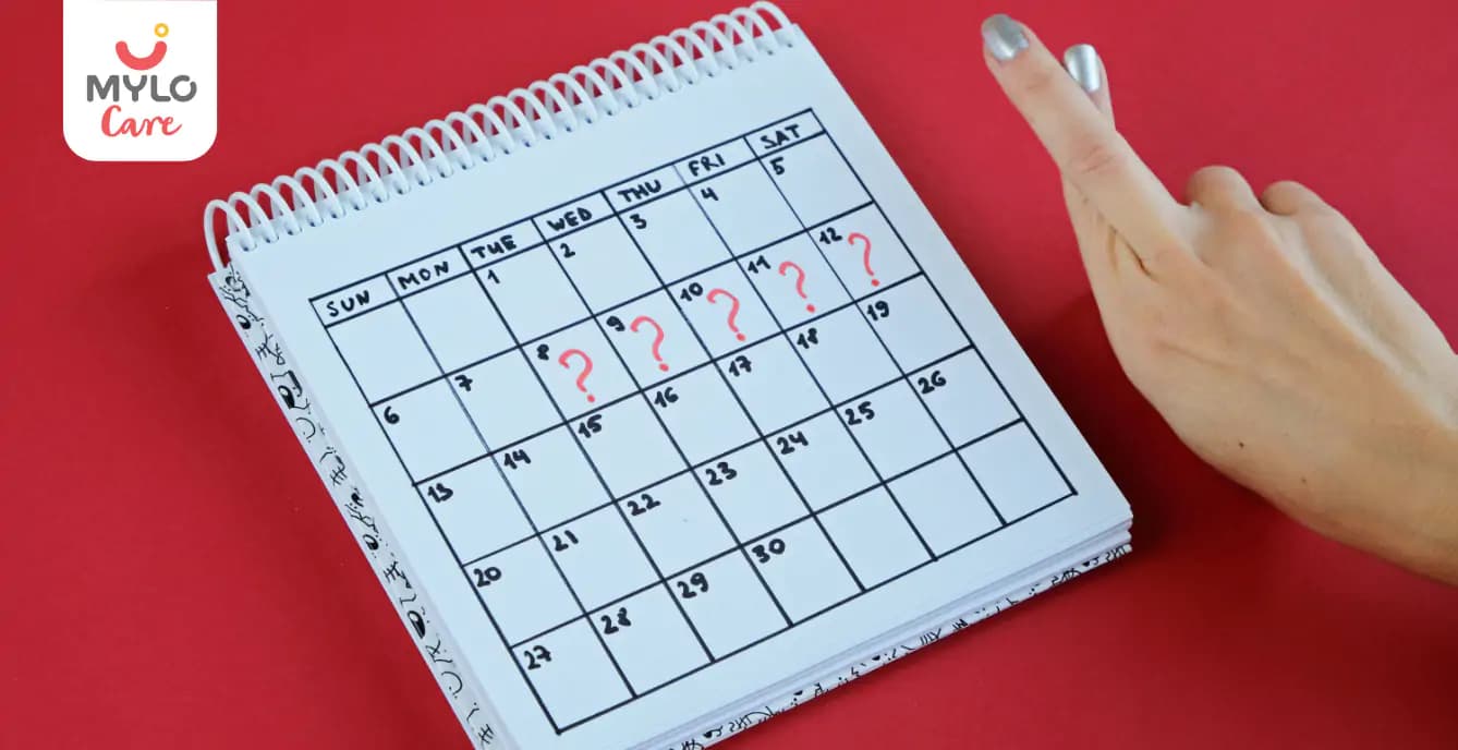 After How Many Days of Ovulation Implantation Occurs: The Road to Pregnancy 