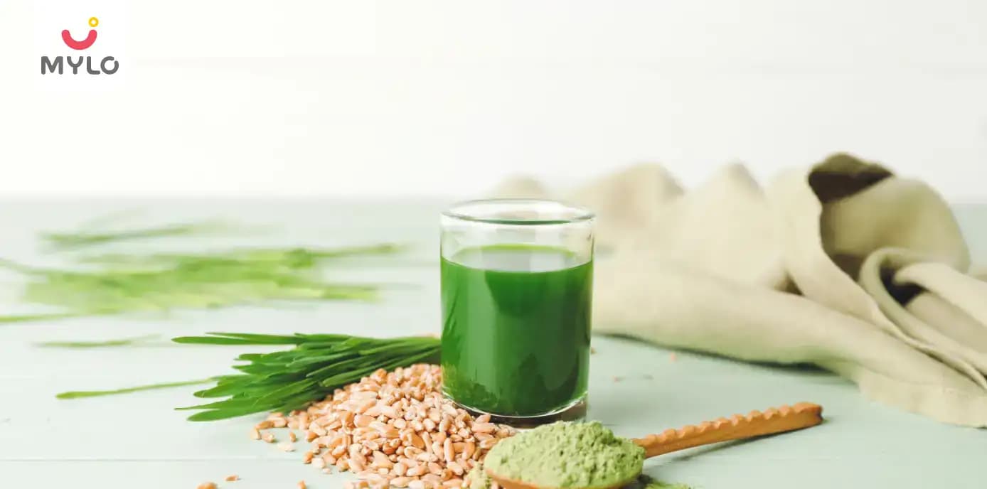 How to Take Wheatgrass Powder : Tips and Tricks for Maximum Taste & Benefits 