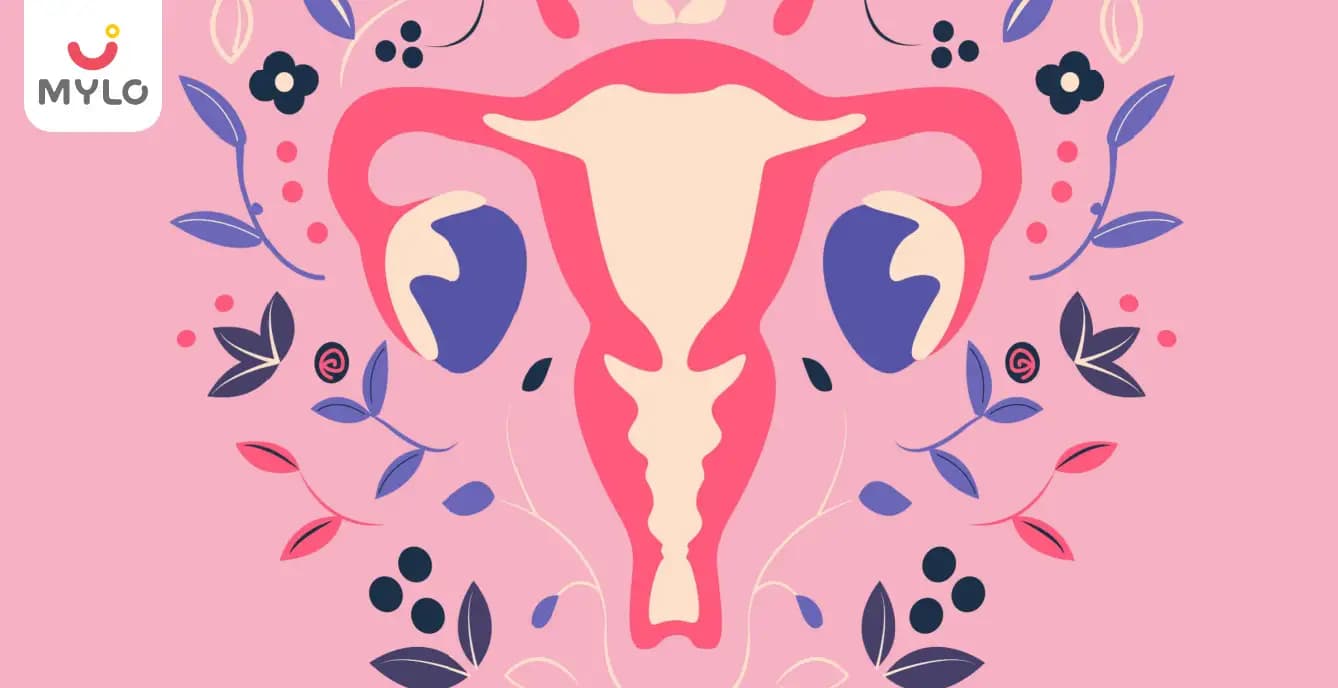 Fat Vagina: Average Size, Types, Causes & Body Positivity Guide (2026)
