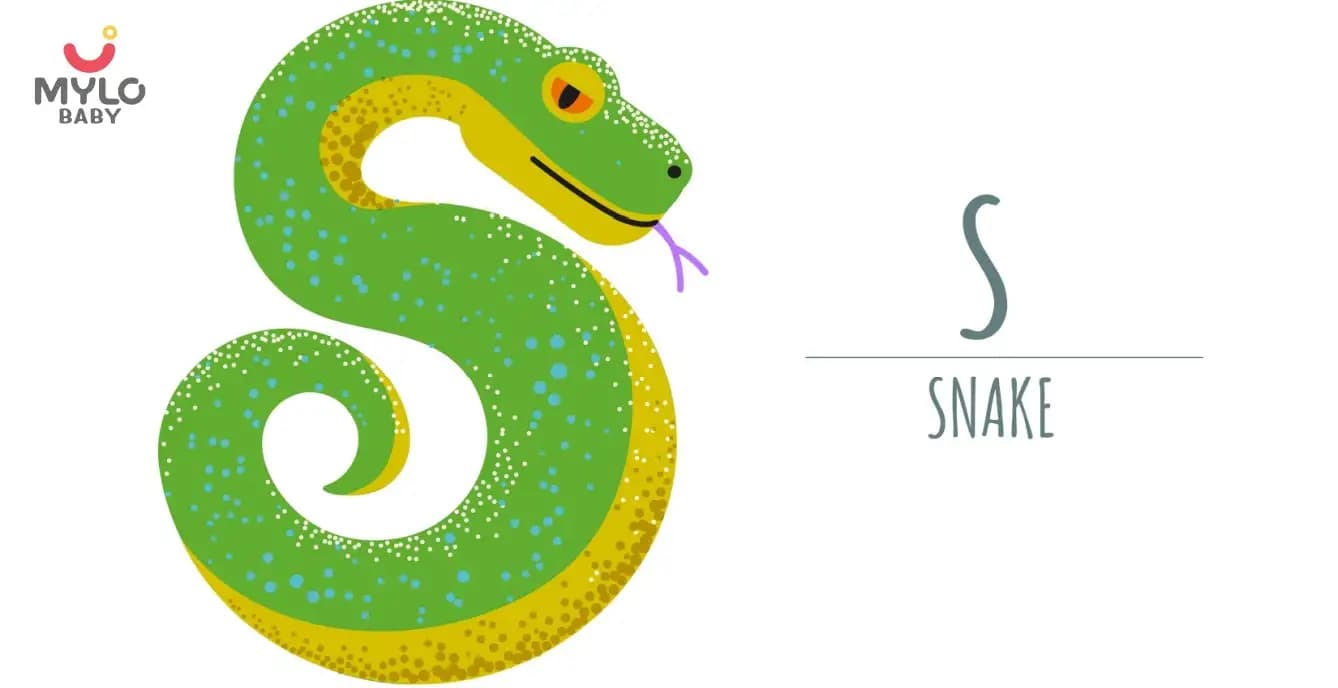 100 Common Words that start with 'S' for enhancing vocabulary in small children
