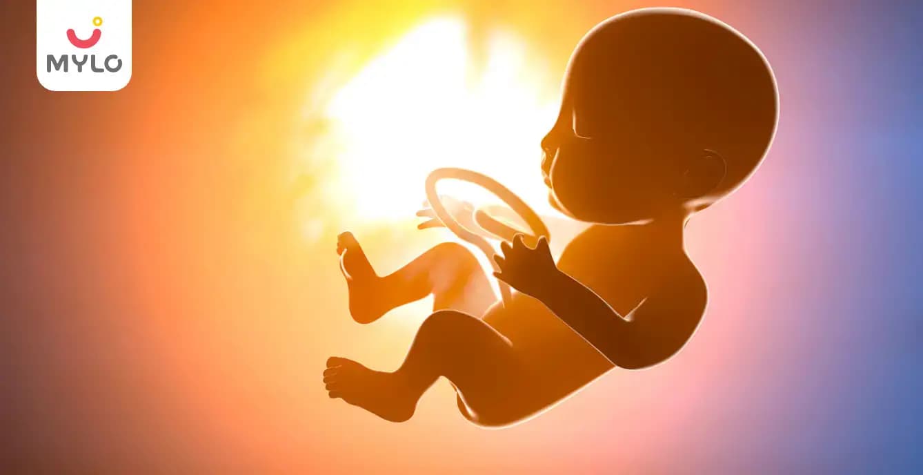 Fetal Growth and Development During Pregnancy