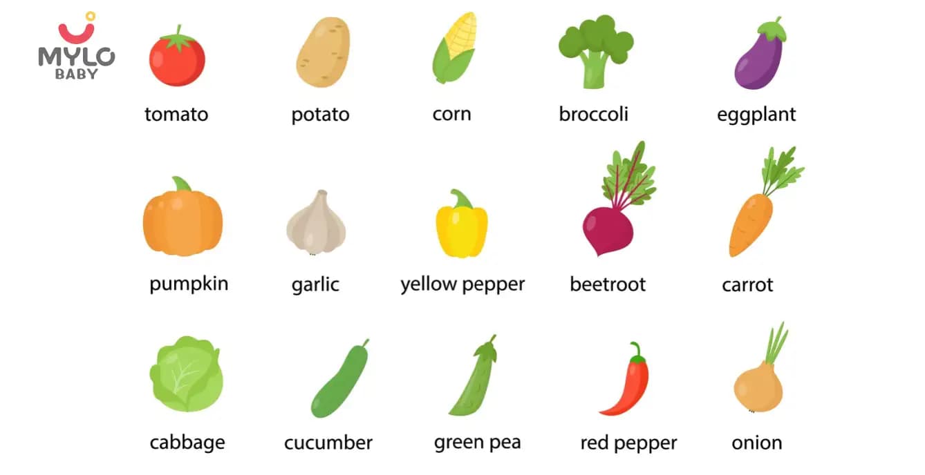 The A-Z Guide to Identifying Vegetables Name in English for Children
