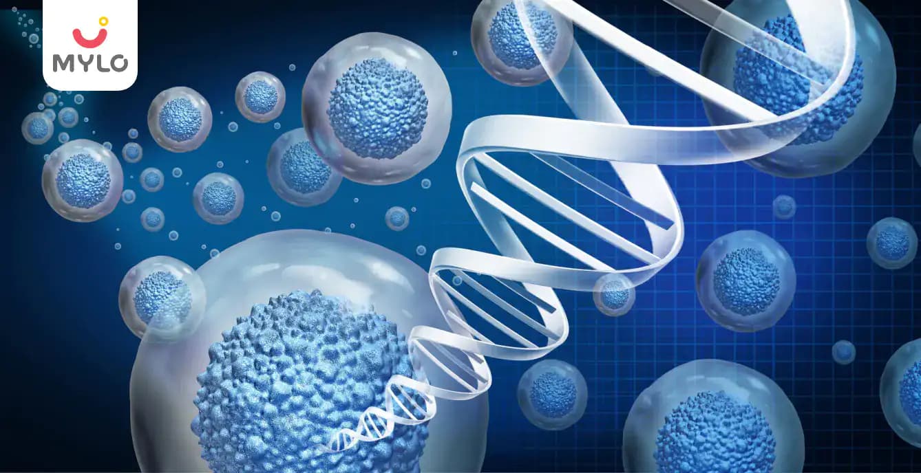 All About Stem Cells, Their Usage and Potential Effectiveness in the Treatment of Different Diseases  