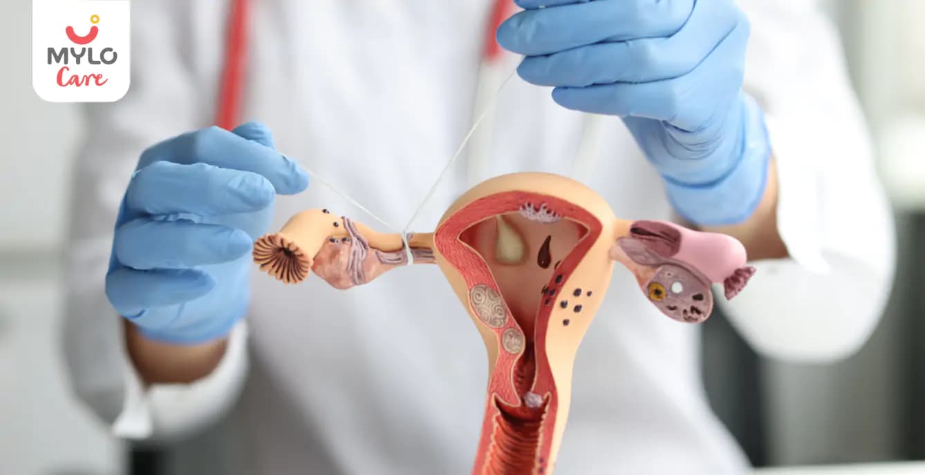 Blocked Fallopian Tubes: How They Affect Your Chances of Conceiving