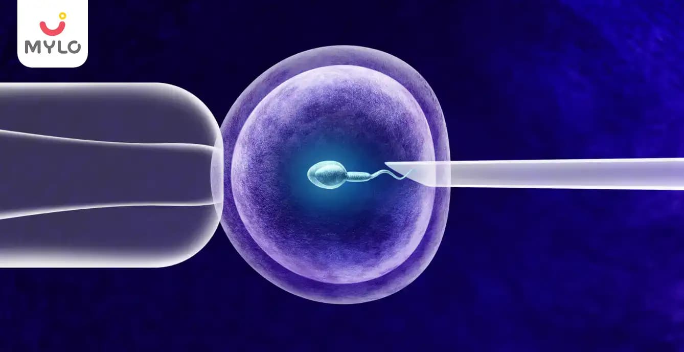 Which Is Better For You: IUI Or IVF? 