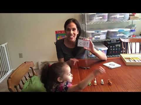 How to teach any child to read EASILY and FAST!