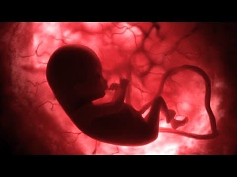 baby ki liye expect kar sakte hai k vo kya feel kar raha hoga womb me it's not gud jitna ham sochte hai.