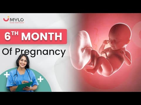 6 Month Baby Movements & Growth Inside The Womb