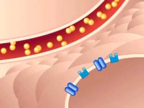 Diabetes during pregnancy: What is gestational diabetes?