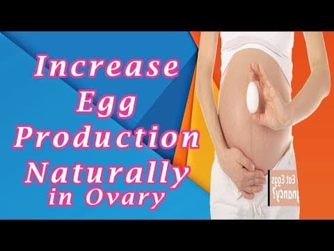 How to Increase Egg Production in Ovary