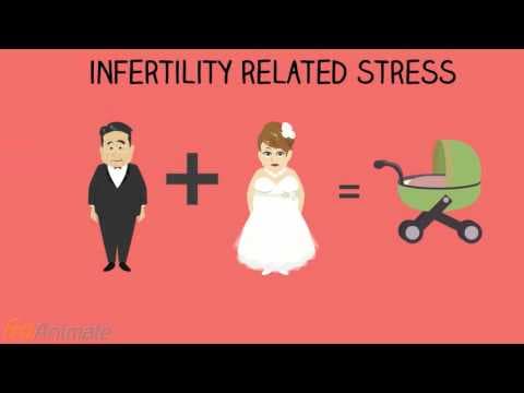 Stress & Infertility