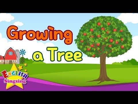 Kids vocabulary - Growing a Tree