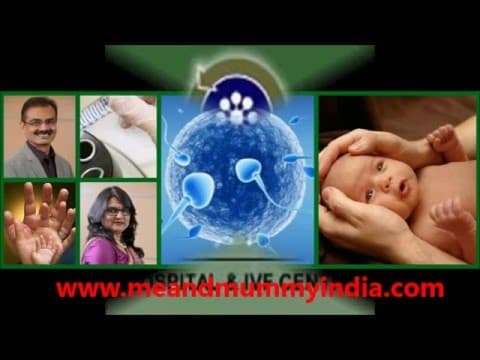 IVF treatment explained 