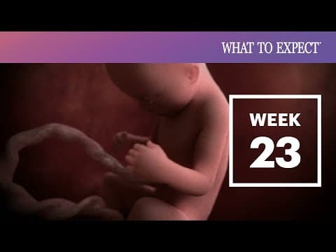 23 Weeks Pregnant | What To Expect