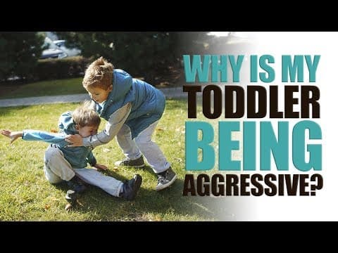 Why is my Toddler Being Aggressive?