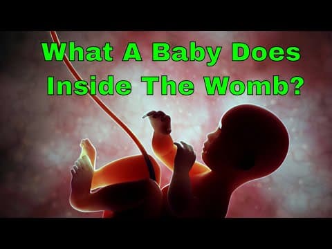 what a baby does inside the womb? 