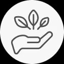 100% Clean & Safe Ingredients