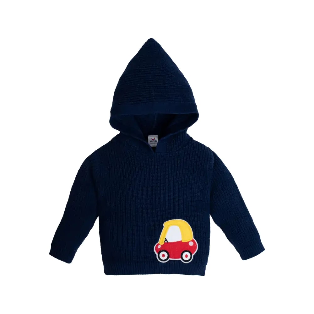 Baby Full Sleeves Sweater with Hoodi -(12-18 M)