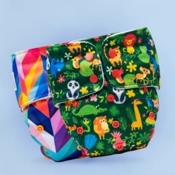 Rainbow + Jungle variant